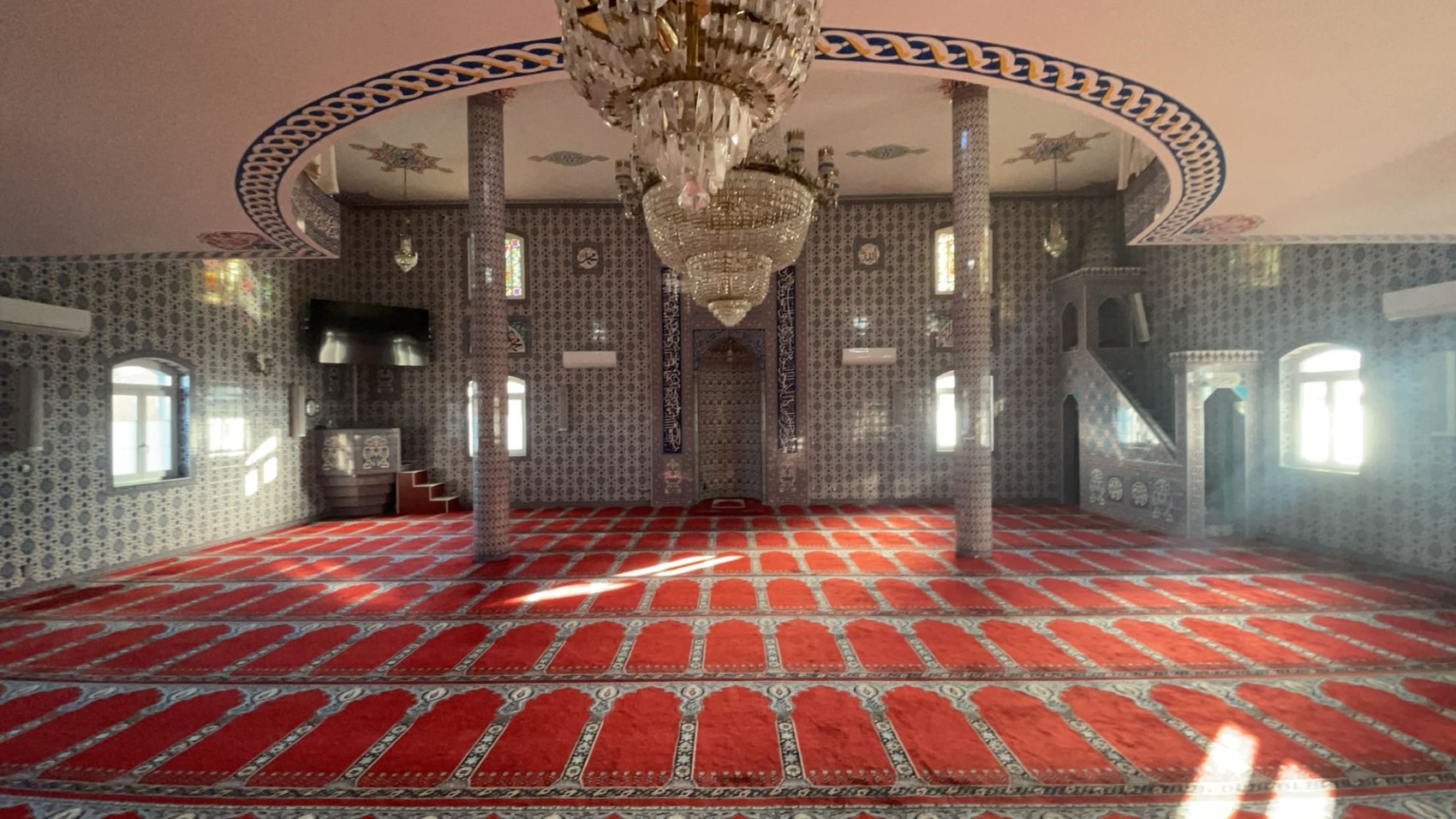 Başkan Yardımcısı