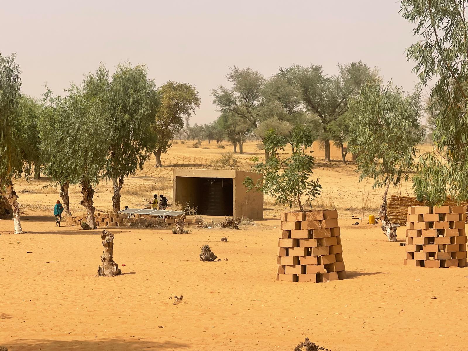 Niger 2024 - Fotoğraf 3